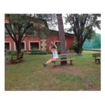 Tirolina infantil para el jardin con asiento - Imagen 3