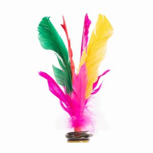 indiakas multicolor