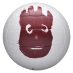 Balon Voleibol Wilson Castaway - Imagen 2
