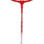Raqueta Badminton Softee 'B700' Junior - Imagen 5