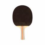 Raqueta Tenis De Mesa Softee 'P500' - Imagen 2