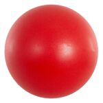 Pelota pilates light
