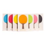 Raqueta de tenis de mesa bambú - Imagen 10