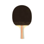 Raqueta Tenis De Mesa Softee 'P500' - Imagen 3