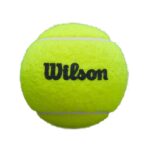 Bote 3 pelotas pádel wilson premier - Imagen 3