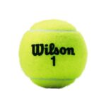 Bote 3 pelotas tenis wilson "championship xd" - Imagen 2