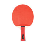 Pala ping-pong eqsi - Imagen 3