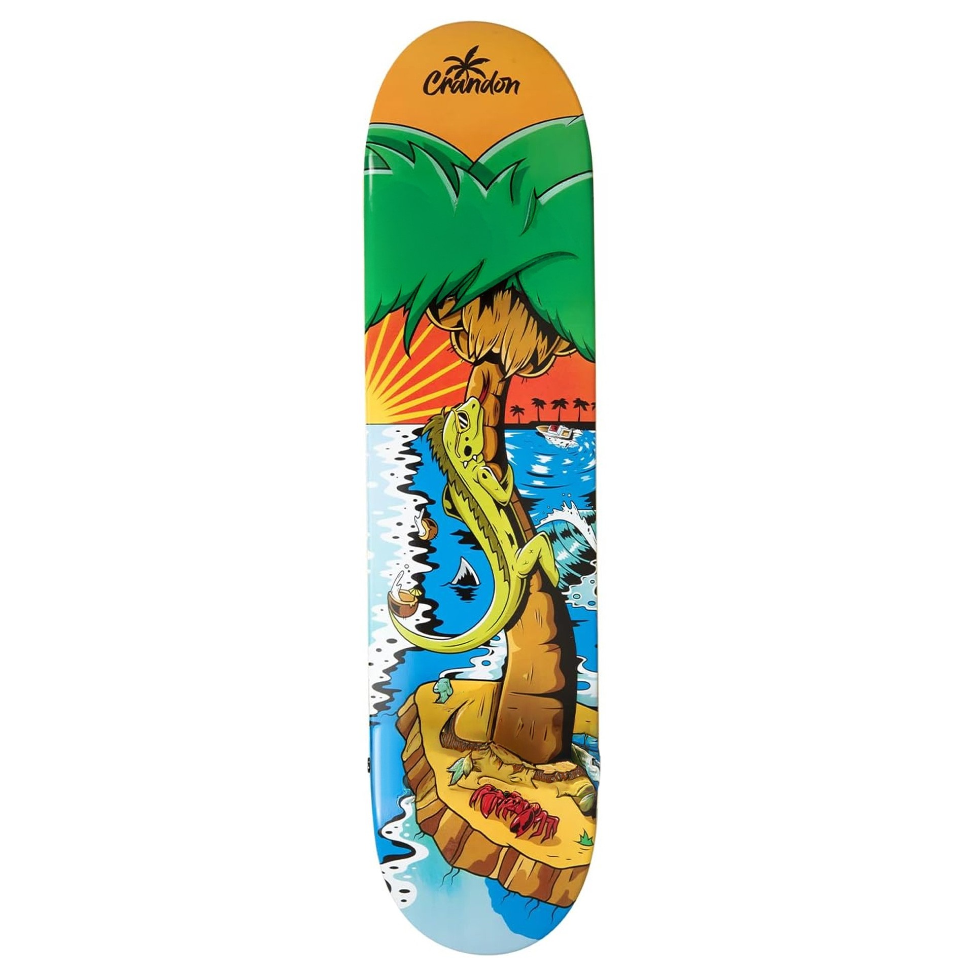 skate-palmdeck-crandon-sportsequipe Skate completo Crandon Palmdeck con tabla de arce y diseño de palmera – Sports Equipe